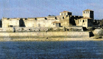 Vidin