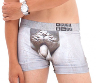 Boxer