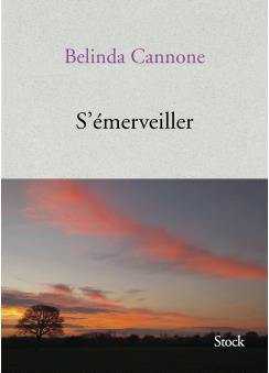 Cannone