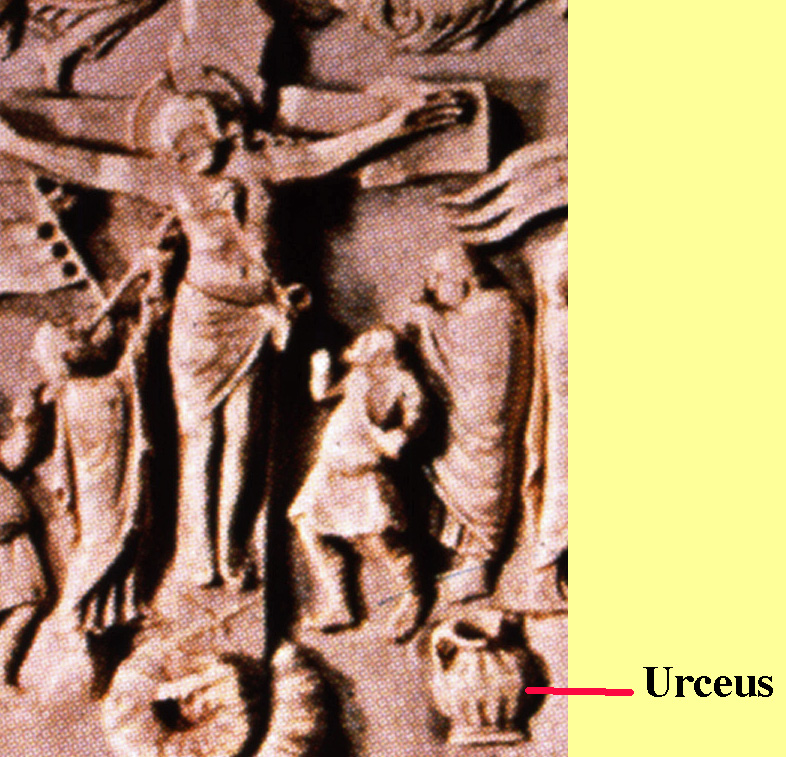 Urceus
